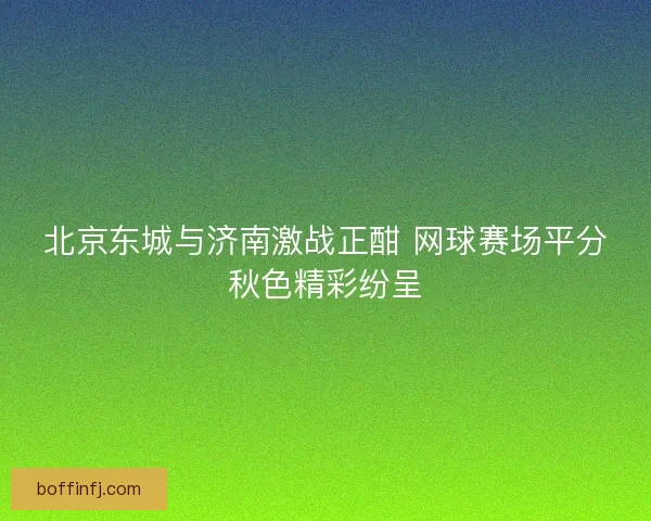 北京东城与济南激战正酣 网球赛场平分秋色精彩纷呈 北京东城与济南激战正酣 网球赛场平分秋色精彩纷呈